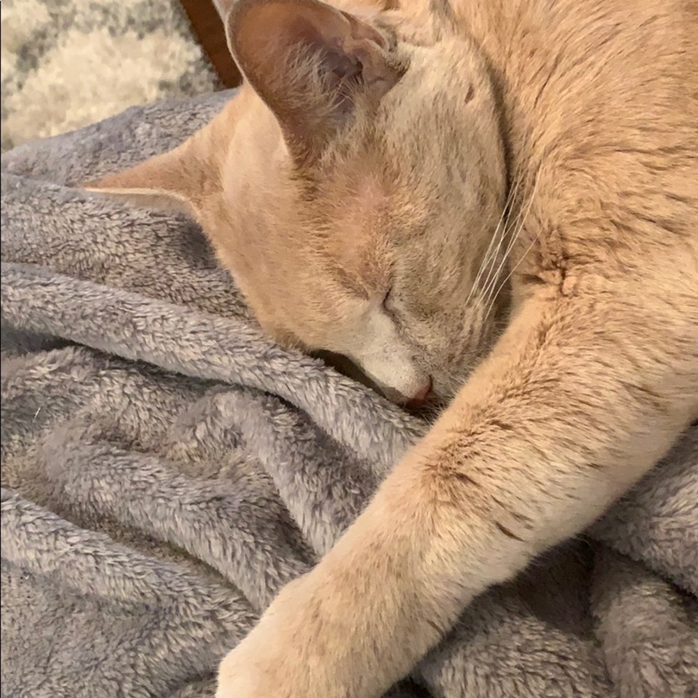 Meet your Posher, Teri